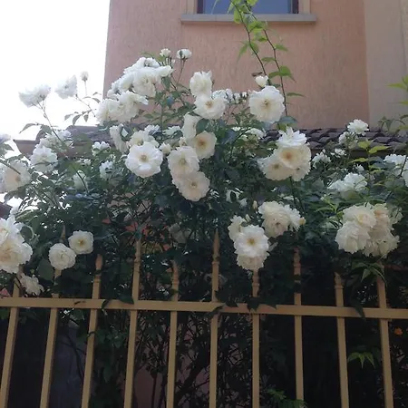 Morskoi Gnom Apartament *