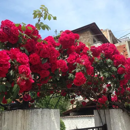 Apartament Morskoi Gnom
